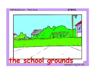 the school grounds
 