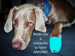 Never use a computer to harm ANYONE!