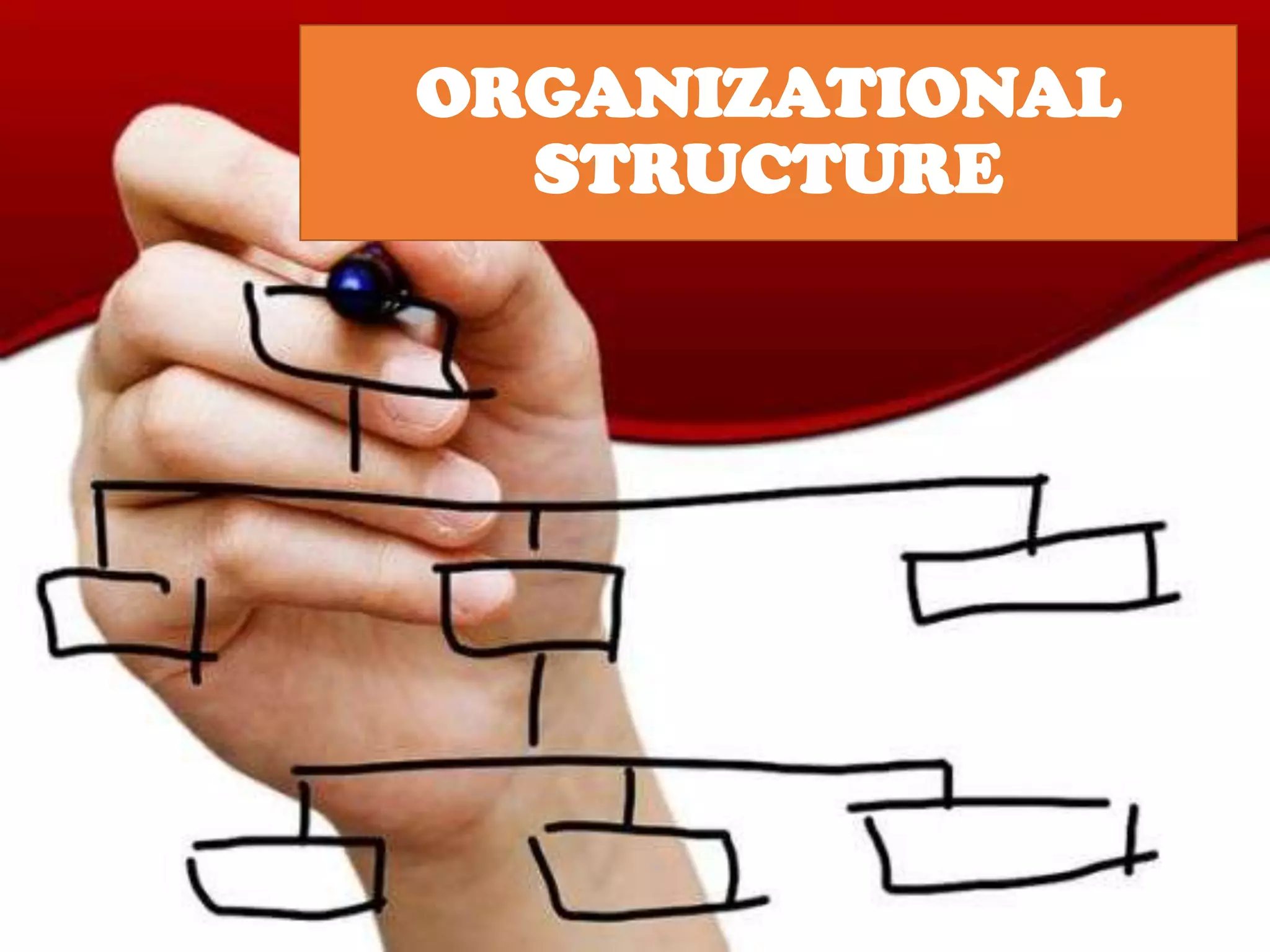 ORGANIZATIONAL
STRUCTURE

 