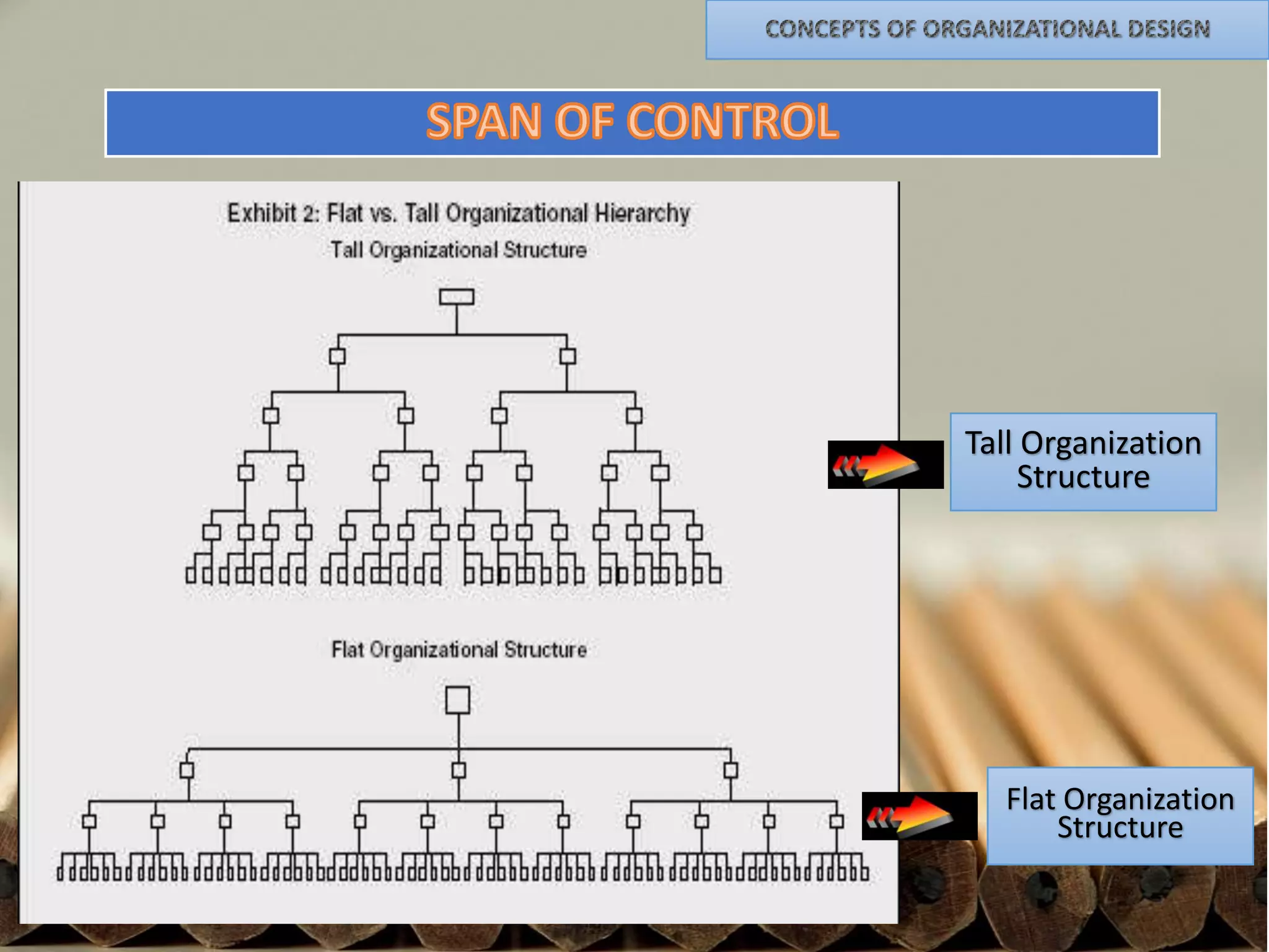 Tall Organization
Structure

Flat Organization
Structure

 