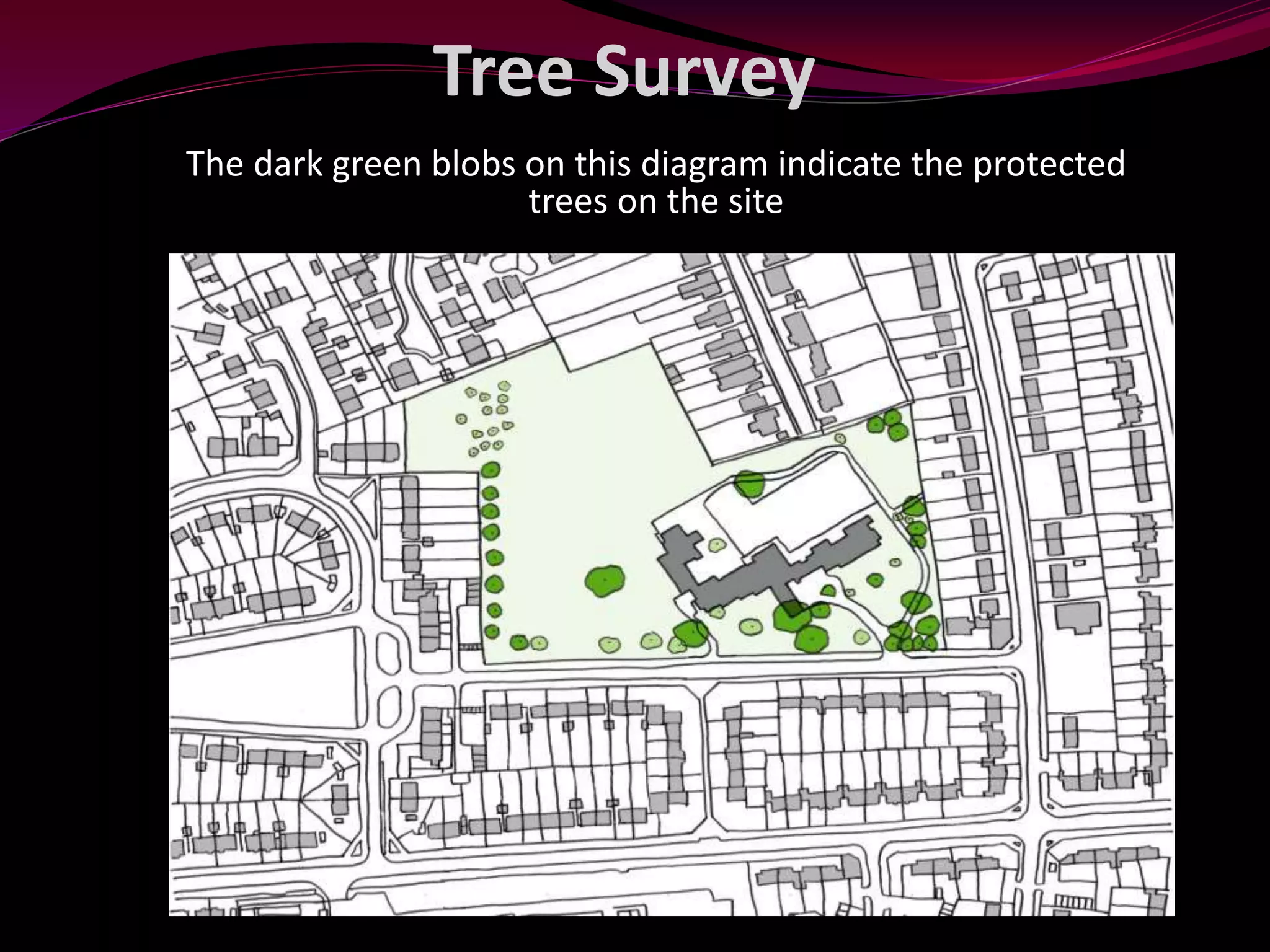 Tree Survey
The dark green blobs on this diagram indicate the protected
trees on the site
 