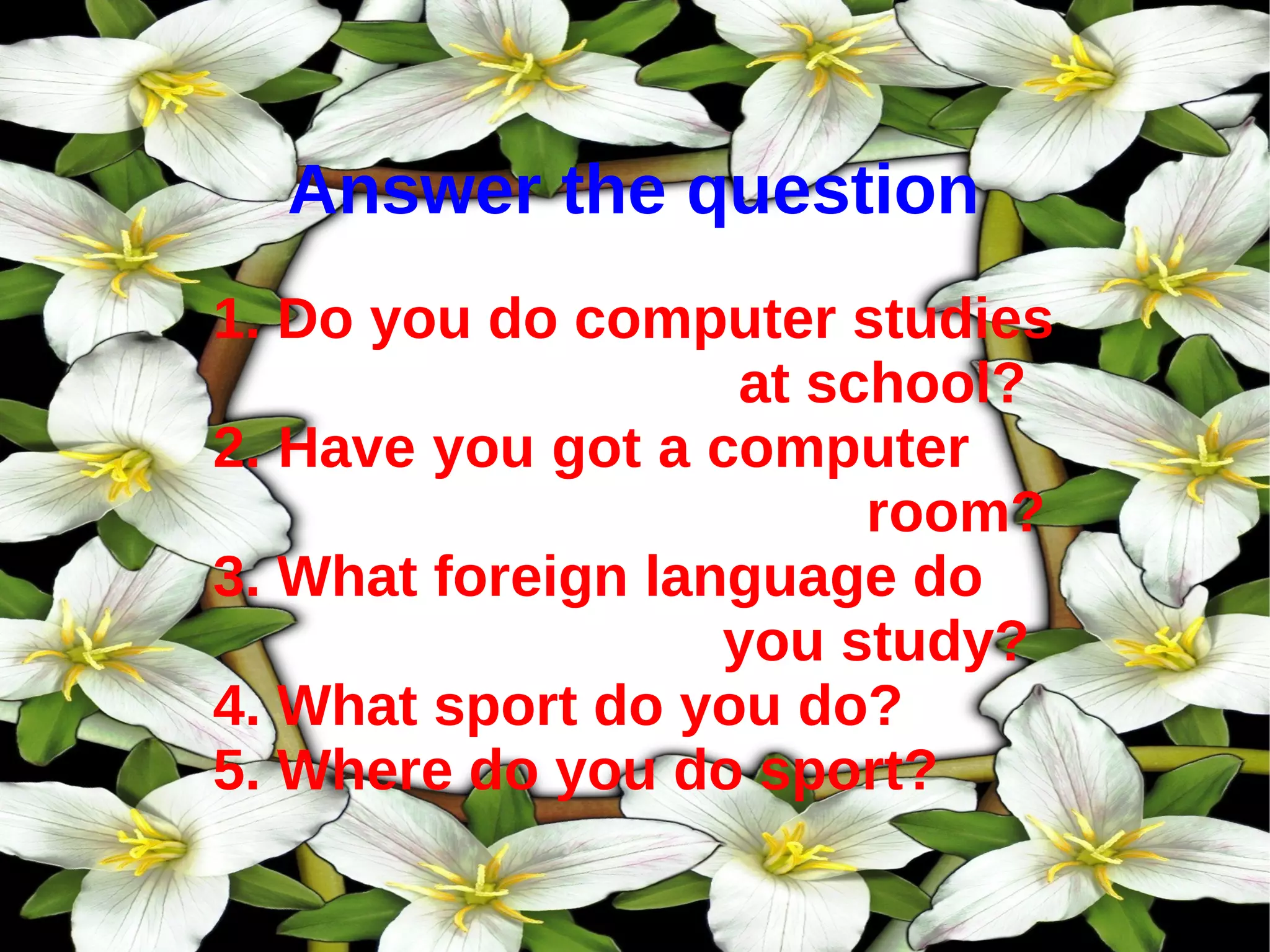 Answer the question 1. Do you do computer studies at school? 2. Have you got a computer room? 3. What foreign language do you study? 4. What sport do you do? 5. Where do you do sport?