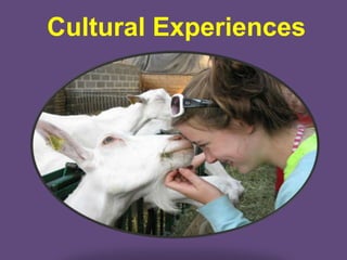 Cultural Experiences
 