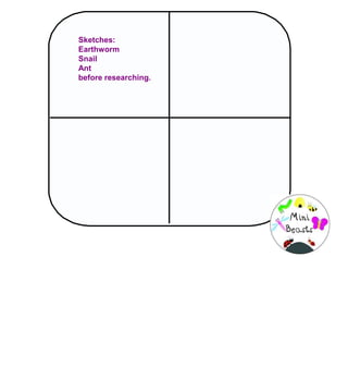 Sketches:
Earthworm
Snail
Ant
before researching.
 