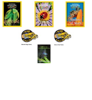 Monster Bugs Game   Ants in their Pants
 