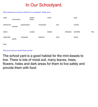 In Our Schoolyard.
Which animals do you think you will find in our schoolyard? Please circle.


snails                                   spiders                    moths                          slugs
              cockroaches                wasps


earthworms                  grasshoppers               mosquitoes             ants                 crickets
              silverfish


slaters                                  cicadas                    beetles           millipedes   butterflies   flies


dragonflies                 centipedes                 ladybirds              birds                lizards
              aphids


bees



Why do you think you will find these animals?


The school yard is a good habitat for the mini-beasts to
live. There is lots of moist soil, many leaves, trees,
flowers, holes and dark areas for them to live safely and
provide them with food.
 