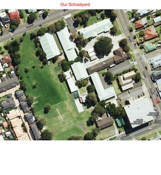 Our Schoolyard.
 