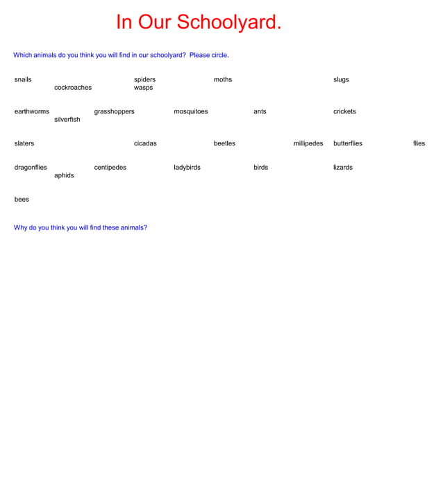 schoolyard-safari-ppt
