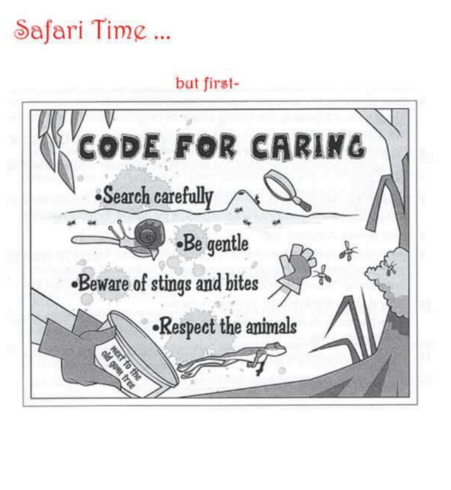 schoolyard-safari-ppt