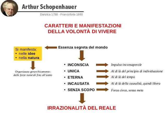 La Vita E Un Pendolo Che Oscilla Schopenhauer Schopenhauer