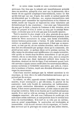 Schopenhauer - le monde comme volonté et représentation