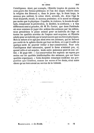 Schopenhauer - le monde comme volonté et représentation