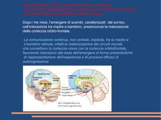 Secondo Schore (1994), prima dei tre mesi, le strutture
coinvolte nella regolazione delle emozioni sono strutture sottocorticali,
che comprendono l’amigdala e il sistema limbico.
Dopo i tre mesi, l’emergere di scambi, caratterizzati dal sorriso,
nell’interazione tra madre e bambino, preannuncia la maturazione
della corteccia orbito-frontale.
La comunicazione continua, non verbale, implicita, tra la madre e
il bambino stimola, infatti,la mielinizzazione dei circuiti neurali,
che connettono la corteccia visiva con la corteccia orbitofrontale,
favorendo interazioni alla base dell’emergere di forme presimboliche
di rappresentazione dell’esperienza e di processi efficaci di
autoregolazione
 