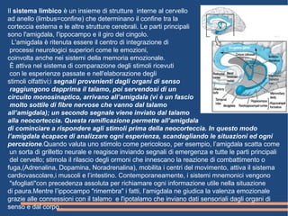 Il sistema limbico è un insieme di strutture interne al cervello
ad anello (limbus=confine) che determinano il confine tra la
corteccia esterna e le altre strutture cerebrali. Le parti principali
sono l'amigdala, l'ippocampo e il giro del cingolo.
L'amigdala è ritenuta essere il centro di integrazione di
processi neurologici superiori come le emozioni,
coinvolta anche nei sistemi della memoria emozionale.
È attiva nel sistema di comparazione degli stimoli ricevuti
con le esperienze passate e nell'elaborazione degli
stimoli olfattivi;i segnali provenienti dagli organi di senso
raggiungono dapprima il talamo, poi servendosi di un
circuito monosinaptico, arrivano all’amigdala (vi è un fascio
molto sottile di fibre nervose che vanno dal talamo
all’amigdala); un secondo segnale viene inviato dal talamo
alla neocorteccia. Questa ramificazione permette all’amigdala
di cominciare a rispondere agli stimoli prima della neocorteccia. In questo modo
l’amigdala ècapace di analizzare ogni esperienza, scandagliando le situazioni ed ogni
percezione.Quando valuta uno stimolo come pericoloso, per esempio, l’amigdala scatta come
un sorta di grilletto neurale e reagisce inviando segnali di emergenza e tutte le parti principali
del cervello; stimola il rilascio degli ormoni che innescano la reazione di combattimento o
fuga,(Adrenalina, Dopamina, Noradrenalina), mobilita i centri del movimento, attiva il sistema
cardiovascolare,i muscoli e l’intestino. Contemporaneamente, i sistemi mnemonici vengono
"sfogliati"con precedenza assoluta per richiamare ogni informazione utile nella situazione
di paura.Mentre l’ippocampo "rimembra" i fatti, l’amigdala ne giudica la valenza emozionale
grazie alle connessioni con il talamo e l'ipotalamo che inviano dati sensoriali dagli organi di
senso e dal corpo .
 