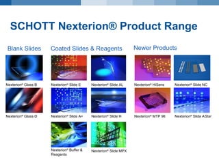 SCHOTT Nexterion Micro array Glass Substrates Presentation PPT schott-nexterion-micro-array-glass-substrates-presentation-ppt