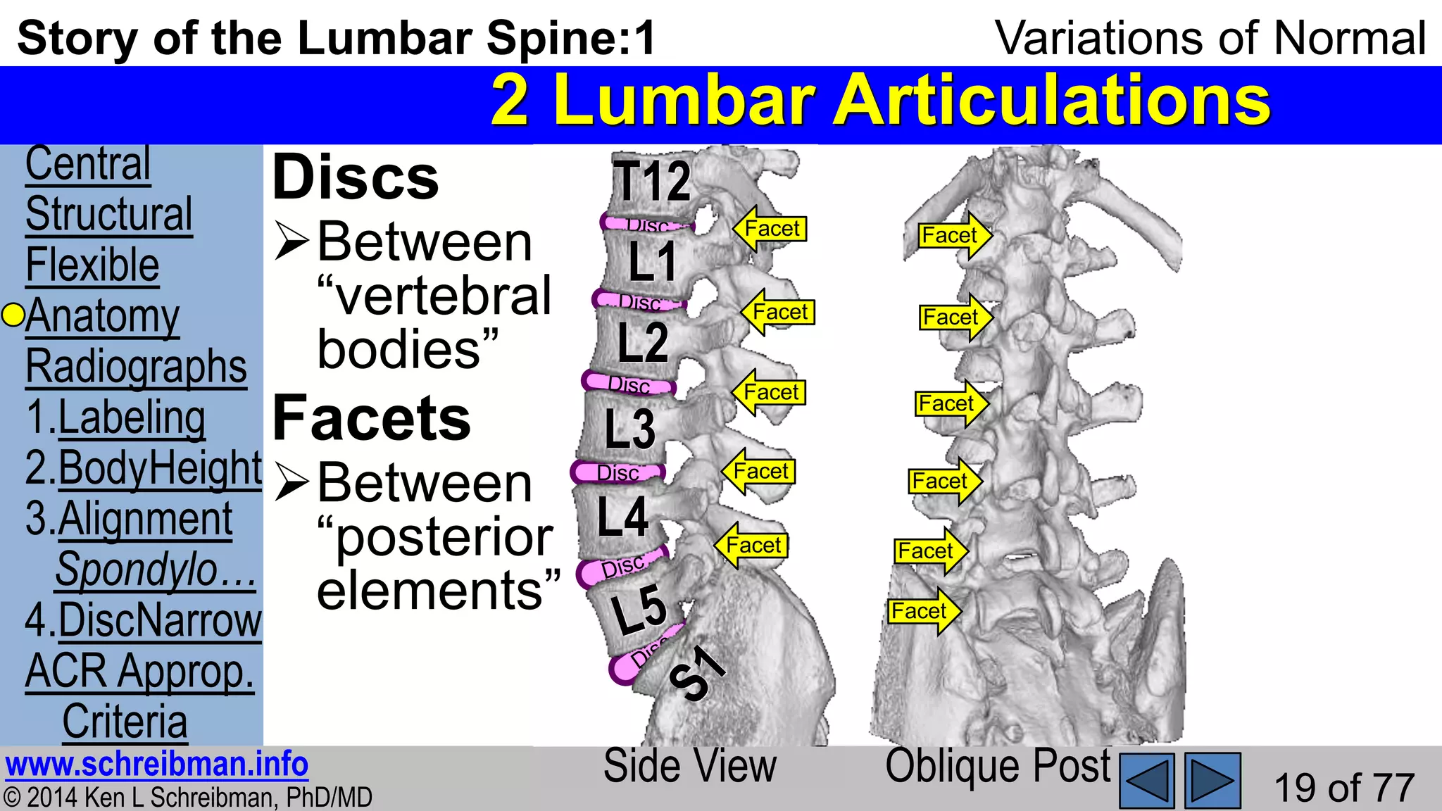 Story of the Lumbar Spine:1 Normal Variations | PPT