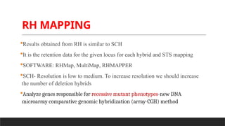 SCH & RH MAPPING Animal genetics mapping.pptx