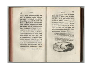 Schriften prezentacija2