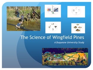 The Science of Wingfield Pines
A Duquesne University Study
 