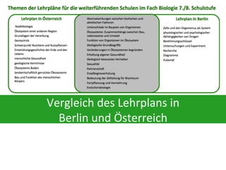 Vergleich	
  des	
  Lehrplans	
  in	
  
Berlin	
  und	
  Österreich	
  	
  

 