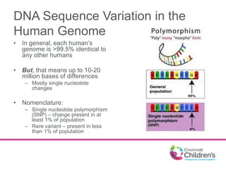 DNA Sequence Variation in the
Human Genome
• In general, each human’s
genome is >99.5% identical to
any other humans
• But...