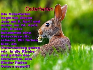 OsterferienOsterferien
Die OsterferienDie Osterferien
beginnen diesesbeginnen dieses
Jahr am 8. April undJahr am 8. April und
enden am 24. April.enden am 24. April.
Alle KinderAlle Kinder
bekommen einebekommen eine
Osterkerze (Gr.:Osterkerze (Gr.:
labadalabada). Wir färben). Wir färben
Eier, amEier, am
Ostersonntag gehenOstersonntag gehen
wir in die Kirchewir in die Kirche
und grillen dasund grillen das
Osterlamm. AlleOsterlamm. Alle
Kinder findenKinder finden
Ostern super!!!Ostern super!!!
 
