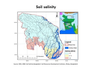 Decentralized surface water irrigation as a pathway for sustainable intensification in southern Bangladesh: on how much land can the drop be brought to the crop?