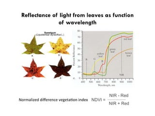 Decentralized surface water irrigation as a pathway for sustainable intensification in southern Bangladesh: on how much land can the drop be brought to the crop?