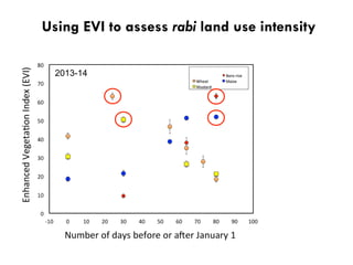 Using EVI to assess rabi land use intensity
2013-14
 