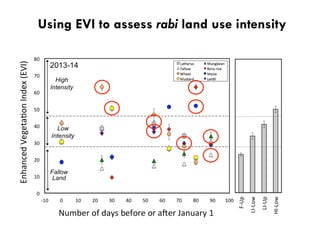 Using EVI to assess rabi land use intensity
 