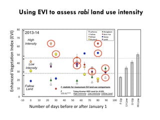 Using EVI to assess rabi land use intensity
 