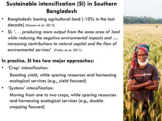 Sustainable intensification (SI) in Southern
Bangladesh
In practice, SI has two major approaches:
•  ‘Crop’ intensificatio...