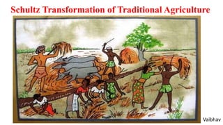 Schultz Transformation of Traditional Agriculture
Vaibhav
 