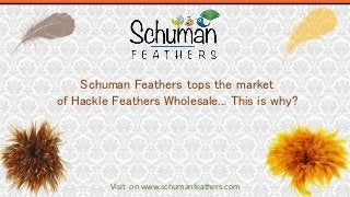 Visit on www.schumanfeathers.com
Schuman Feathers tops the market
of Hackle Feathers Wholesale... This is why?
 
