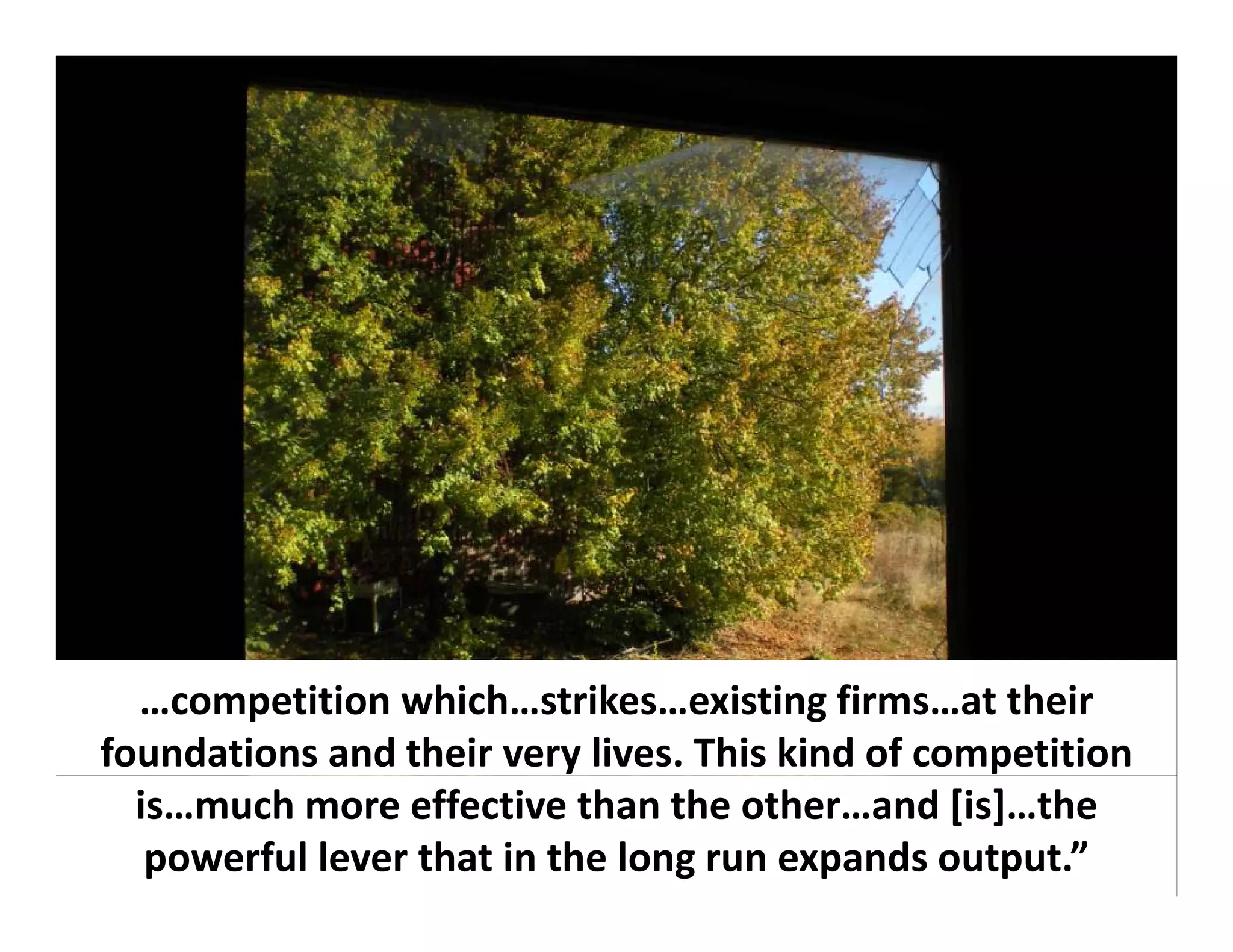 …competition which…strikes…existing firms…at their 
foundations and their very lives. This kind of competition 
  is…much more effective than the other…and [is]…the 
   powerful lever that in the long run expands output.”
 