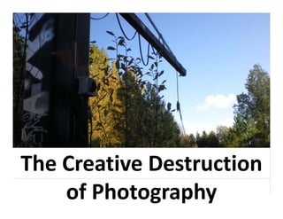 The Creative Destruction
    of Photography
 