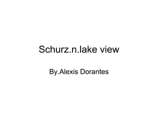 Schurz.n.lake view By.Alexis Dorantes 
