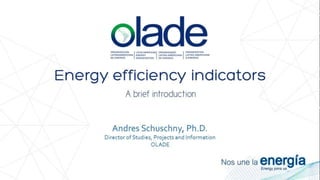 Energy efficiency indicators: a primer