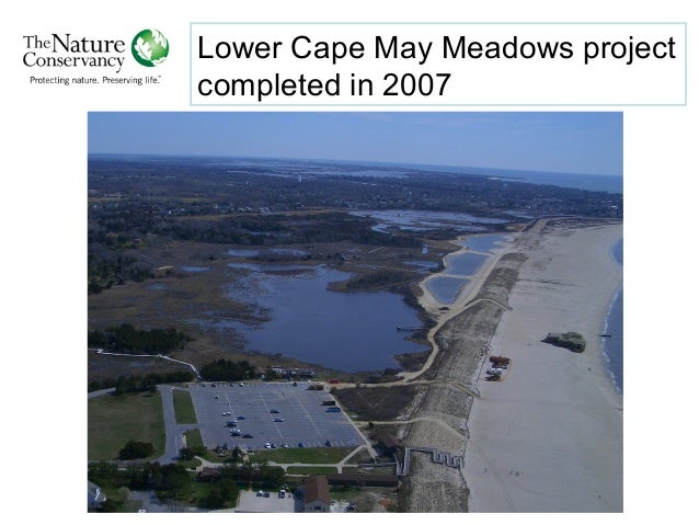 cape environment science unit 2 i a Get this from a library environmental science, food and nutrition 2009 : cape past papers [caribbean examinations council. cape environment science unit 2 i a Get this from a library environmental science, food and nutrition 2009 : cape past papers [caribbean examinations council.