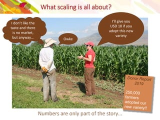 Scaling of innovations