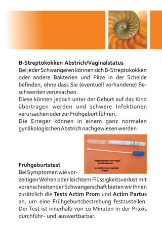 Schwangerschaftsguide - Schwangerschaft in Berlin