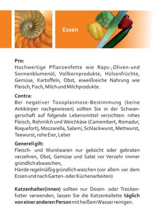 Schwangerschaftsguide - Schwangerschaft in Berlin