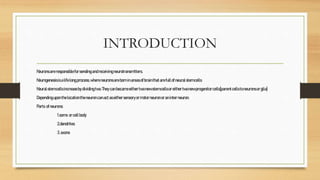 INTRODUCTION
Neuronsareresponsibleforsendingandreceivingneurotransmitters.
Neurogenesisisalifelongprocess,whereneuronsareborninareasofbrainthatarefullofneuralstemcells
Neuralstemcellsincreasebydividingtwo.Theycanbecameeithertwonewstemcellsoreithertwonewprogenitorcells[parentcellstoneuronsorglia}
Dependinguponthelocationtheneuroncanactaseithersensoryormotorneuronoraninterneuron.
Parts ofneurons:
1.soma orcellbody
2.dendrites
3.axons
 