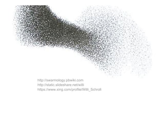 Schwarm Socialcamp08 Schroll