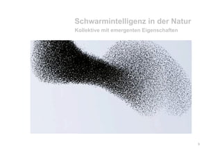 Schwarm Socialcamp08 Schroll