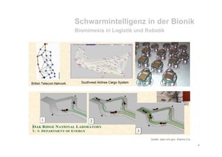 Schwarm Socialcamp08 Schroll