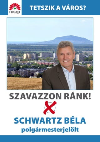 Schwartz Béla
