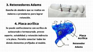 Gancho de alambre que se realiza en
molares o premolares para lograr
retención.
Se puede confeccionarse con acrílico de
autocurado o termocurado, provee
soporte, estabilidad y retención indirecta
a la placa. Permite conectar todos los
demás elementos prefijados al modelo.
3. Retenedores Adams
4. Placa acrílica
Retenedor
Adams
Placa
Acrilica
 