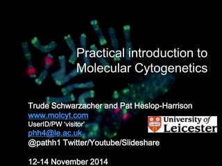 Practical introduction to 
Molecular Cytogenetics 
Trude Schwarzacher and Pat Heslop-Harrison 
www.molcyt.com 
UserID/PW ‘visitor’ 
phh4@le.ac.uk 
@pathh1 Twitter/Youtube/Slideshare 
12-14 November 2014 
 