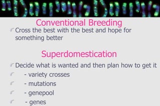 Conventional Breeding Superdomestication <ul><li>Cross the best with the best and hope for something better </li></ul><ul>...